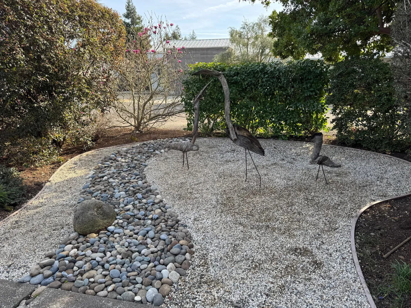 San Judas Landscape project in Petaluma, CA (23)