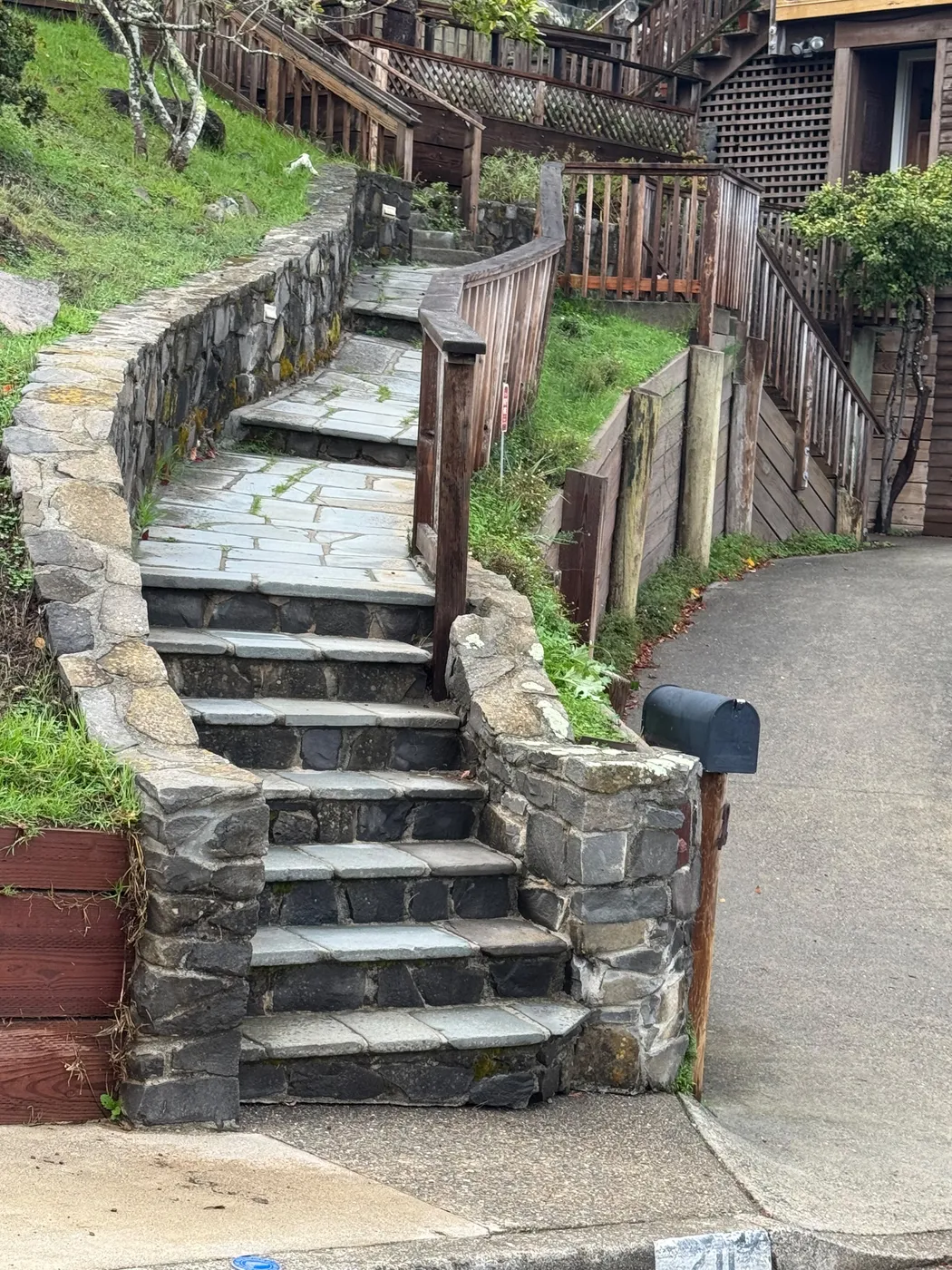 San Judas Landscape project in Petaluma, CA (25)