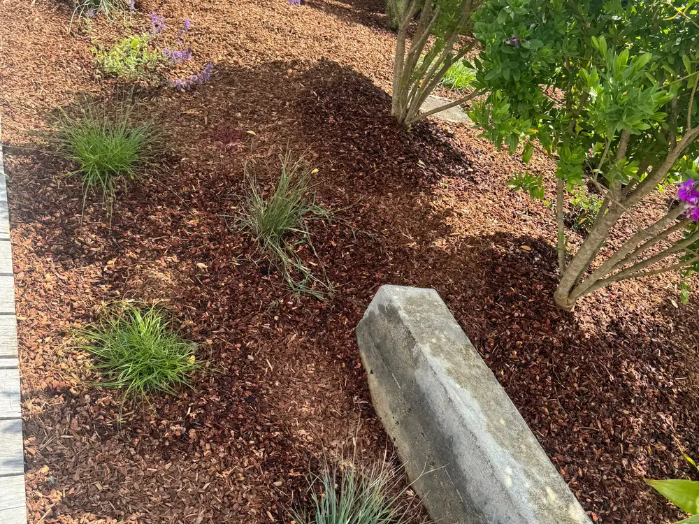 Landscape maintenance in Petaluma, CA