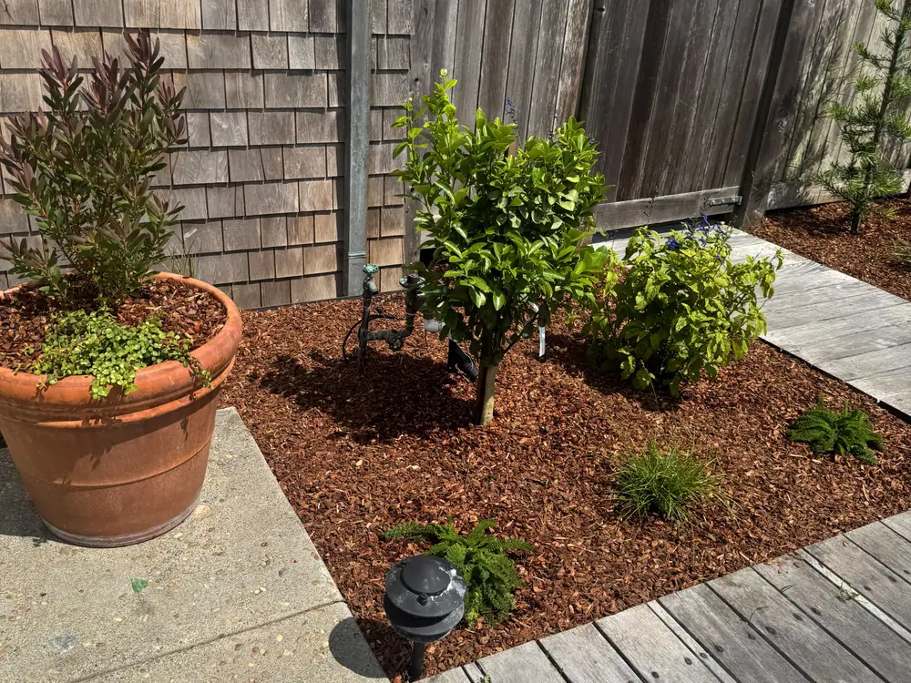 Mulching in Petaluma, CA