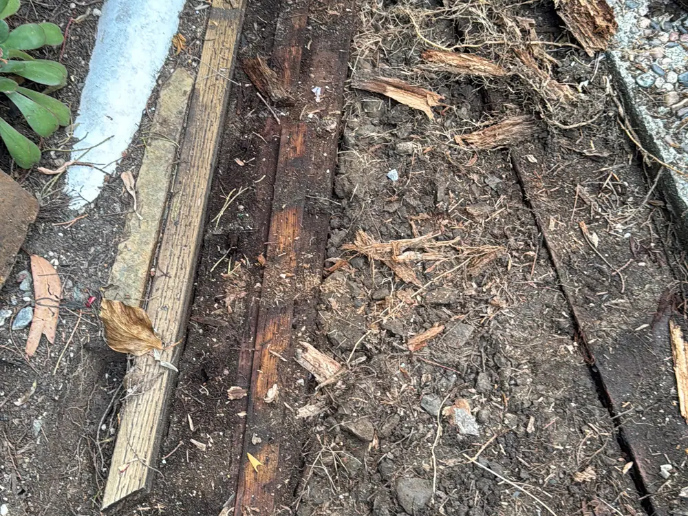 Property & Yard Cleanup in Petaluma, CA